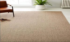 Why You Need Sisal Rug For Your Interior Décor